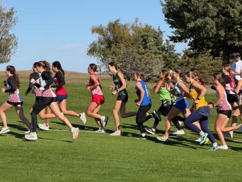 Hawks Cross Country Districts