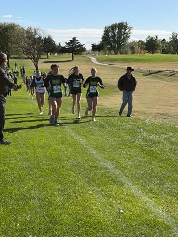 Hawks Cross Country Districts