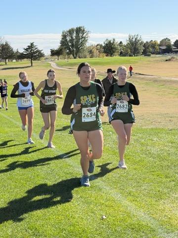 Hawks Cross Country Districts