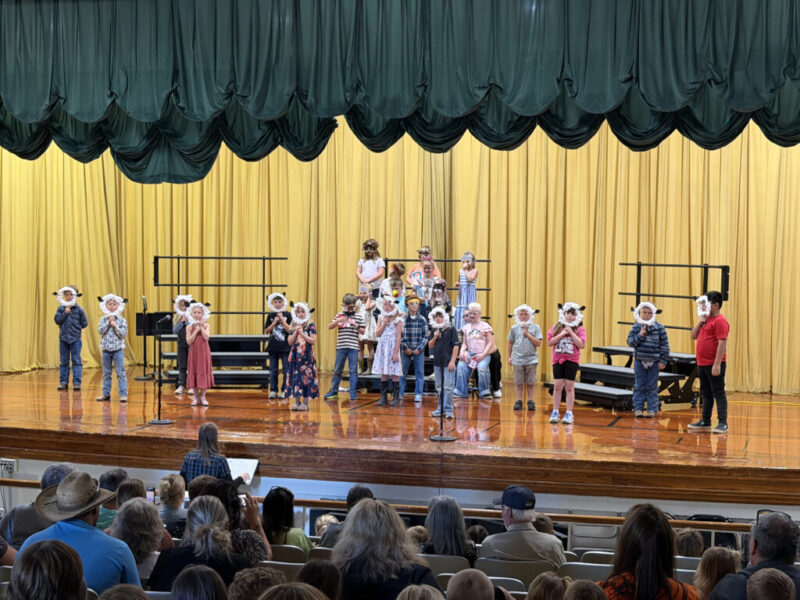 K-2 Concert