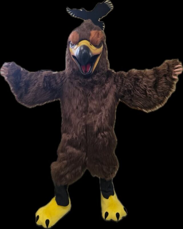 New Hawk mascot costume
